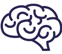 Outline of a brain in dark blue on a transparent background.